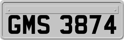 GMS3874