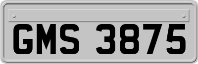 GMS3875