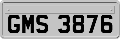 GMS3876