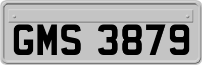 GMS3879