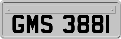 GMS3881
