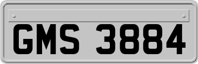 GMS3884