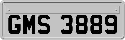 GMS3889