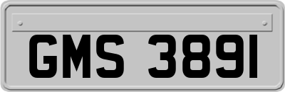 GMS3891