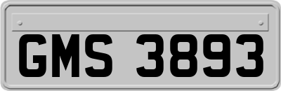 GMS3893