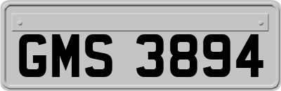GMS3894