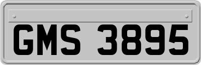 GMS3895