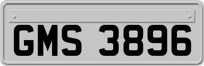 GMS3896