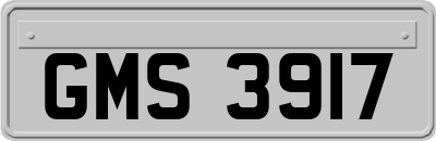 GMS3917