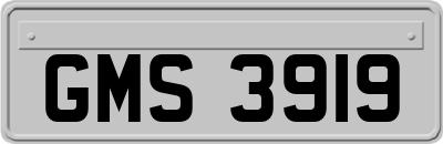 GMS3919