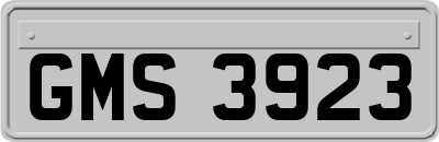 GMS3923