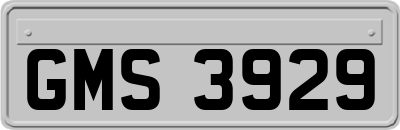 GMS3929