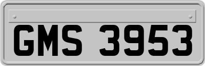 GMS3953