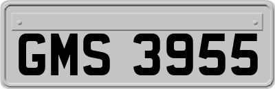 GMS3955