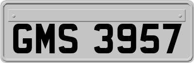 GMS3957