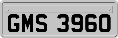 GMS3960