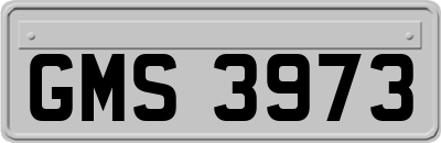 GMS3973