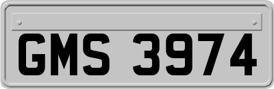 GMS3974