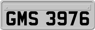 GMS3976