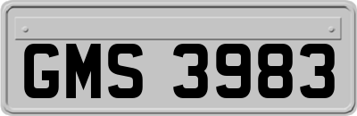 GMS3983