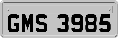 GMS3985