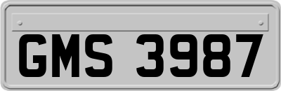 GMS3987