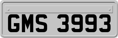 GMS3993
