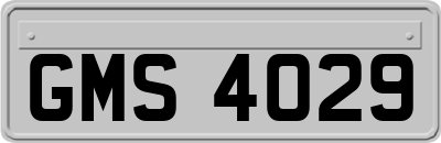 GMS4029