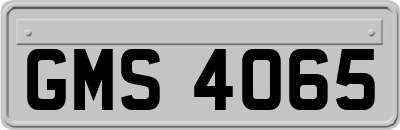 GMS4065