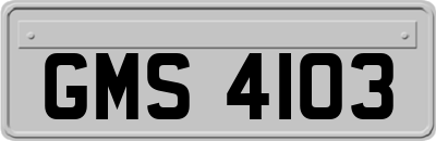 GMS4103