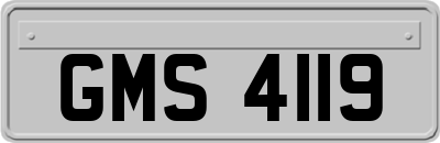 GMS4119