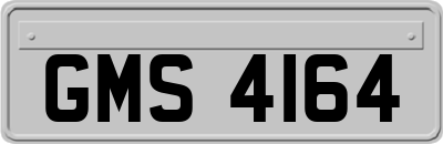 GMS4164