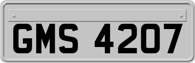 GMS4207