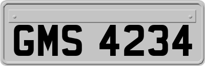GMS4234