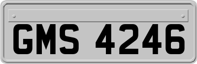 GMS4246