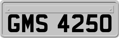 GMS4250