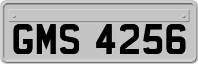 GMS4256