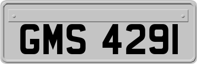 GMS4291