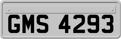 GMS4293