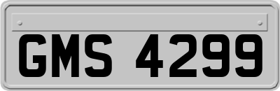 GMS4299
