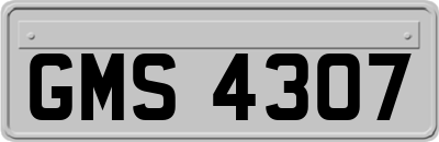 GMS4307