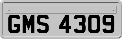 GMS4309
