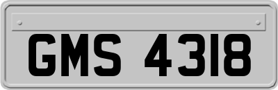 GMS4318