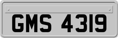 GMS4319