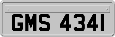 GMS4341