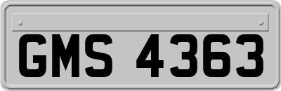 GMS4363