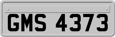 GMS4373