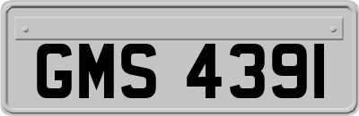 GMS4391