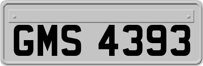 GMS4393