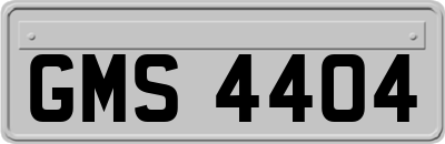 GMS4404